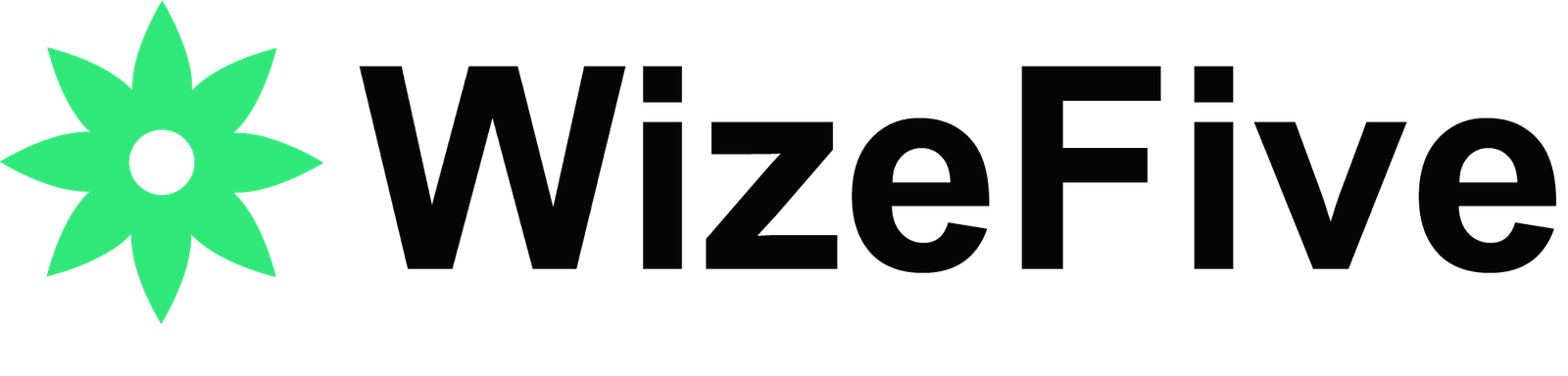 Wizefive